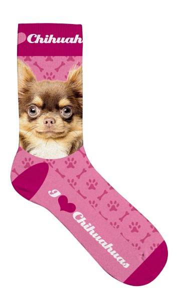 Socken "Chihuahua"